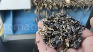Вибропневмостол ВПСЗ-2 с системой аспирации. Продукт испытания: деловые отходы подсолнечника