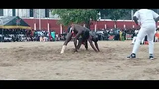 SABUWAR KOKOWA TSAKANIN AÏBO HASAN NA MARADI