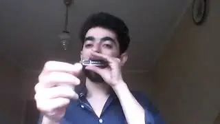 Your latest trick. Dire Straits cover #harmonica #stratocastro #губнаягармошка