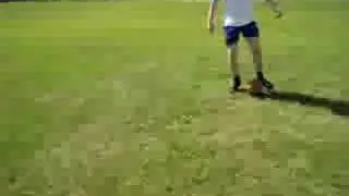 Russian parody 