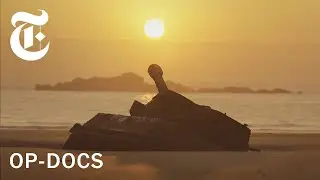 Island in Between | A 2024 Oscar-Nominated Op-Doc