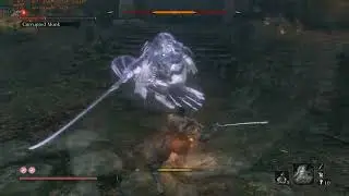 Sekiro Shadows Die Twice - Corrupted Monk Fight - RX6400 4GB