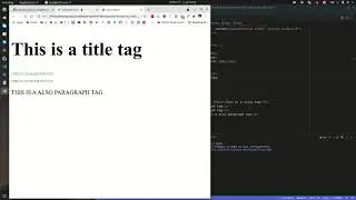 CSS Crash Course for Beginners | Learn CSS in 1 Hour (2025)
