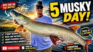 Epic Muskie Fishing Adventure: Landing 5 Monsters in Kawartha Lakes