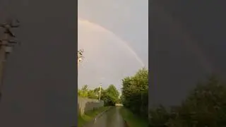 Радуга, дождь и конь.