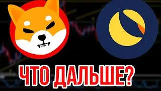 ИЛОН МАСК ПРЕДУПРЕДИЛ! ШИБА УПАДЕТ КАК ЛУНА!