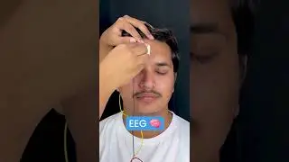 Record electrical signals from your body using gel electrodes #neuroscience #experiment #eeg #ecg