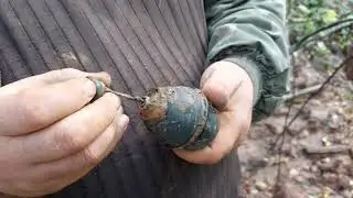 war cop in Novgorod region
