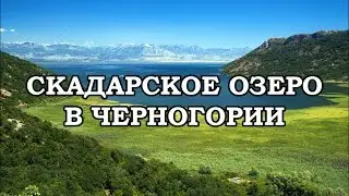 ЧЕРНОГОРИЯ / СКАДАРСКОЕ ОЗЕРО / ГОРНЫЙ СЕРПАНТИН