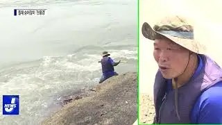 진도 울돌목…뜰채 숭어잡이 ‘진풍경’ 연출