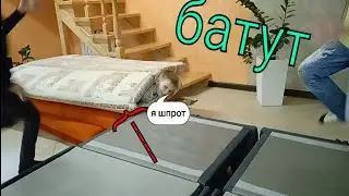 сделали батут дома