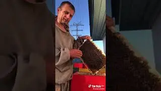 ОТВОДКИ. НАХОЖДЕНИЕ МАТКИ