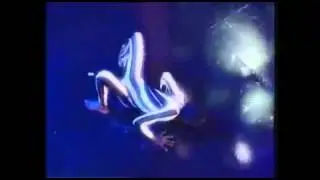 Минуты славы
