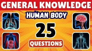 Can You Pass This Human Body Quiz Challenge? 🧠 General Knowledge Quiz 🫁💪 