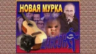 НОВАЯ МУРКА
