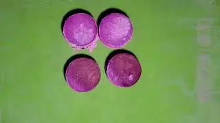 Color Experiment • Holi and Calcium Carbonate • Calico Crunch ASMR
