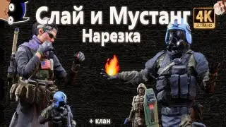 4 минуты Слай и Мустанга | Chill выпуск по 