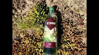 Обзор на 
