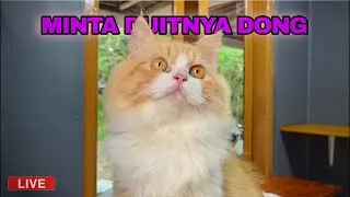 APAPUN DI LAKUKAN DEMI UANG HEHE