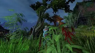 Where to find SOYBEANS - Quietus collection - End of Dragons - GW2 