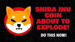 SHIBA INU COIN ABOUT TO EXPLODE! (DO THIS NOW!)