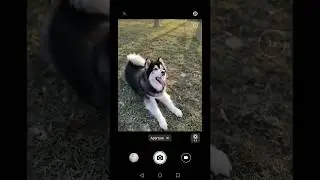 How take photos with blurred background — HONOR Tutorial