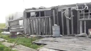 Омулевая