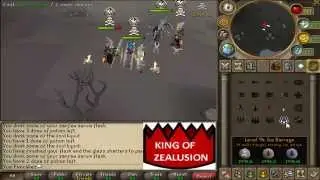 i am the king of zealusion private server