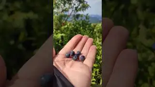 Природа України - неперевершена😍