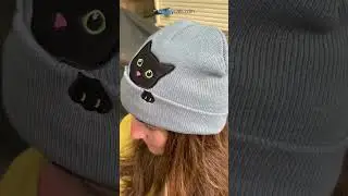 Level Up your Fashion with this Purrfect Cat Beanie Hat - Would YOU Wear This Cat Hat?
