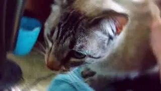 1:30 of peter