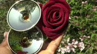 Golden Age Goes on Diamond Age Goes On Paradise Planet Earth On This Love Peace Harmoni Vibration 💚