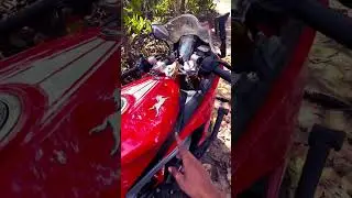Bs6 Fuel Pump tips #bs6 #bikemaintain #shorts