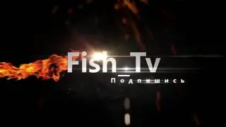 Fish Tv