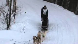 Iditarod 2011-Corral Hill---Justin Savidis