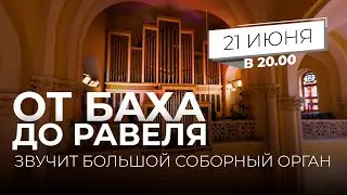 От Баха до Равеля. Звучит большой соборный орган – Анонс концерта в Соборе