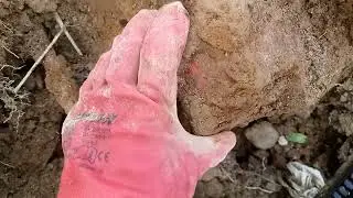 Утренняя разминка.