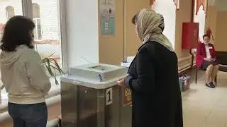 Выборы