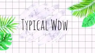 NEW WDW INTO