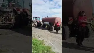 Обращение Губернатору Тюменской области потрава химикатами в дневное время пчеловоды бьют тревогу