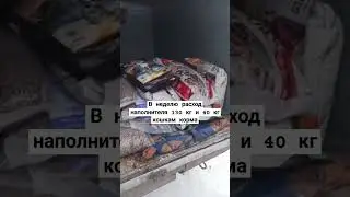 #домашнийприютмилосердие