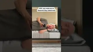 POV: it’s Veterans Day (observed)