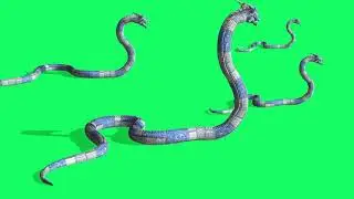 animation snake attack on the green screen