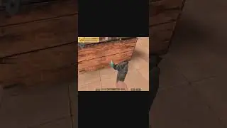 Стандофф 2 помойка 