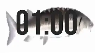 1 Minute Timer With Fish Spinning
