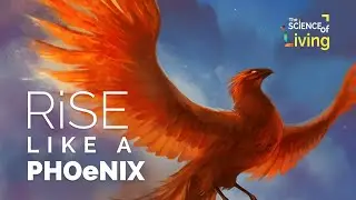 Rise Like a Phoenix (The Science of Living: Episode 13)