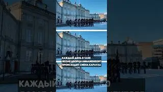 Королевские гвардейцы в Копенгагене💂🇩🇰 
