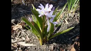 На полях страны. 15.04.23