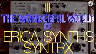 THE WONDERFUL WORLD OF ERICA SYNTHS SYNTRX // NO TALKING // 3