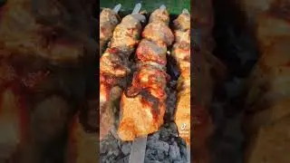 Шашлык. Шашлык из свинины. Шашлык на мангале.
